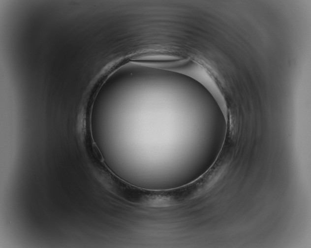 X0000099930348200805301202