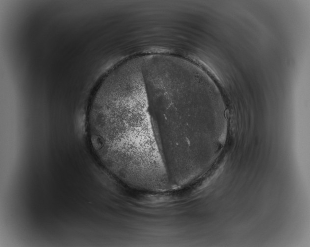 X0000099930351200805301202