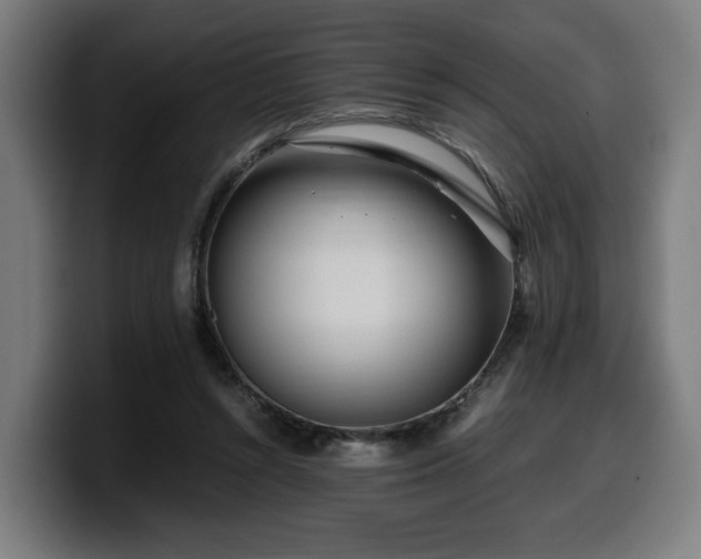 X0000099930352200805301202