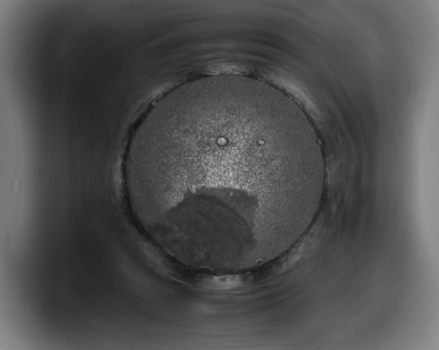 X0000099930353200805301202