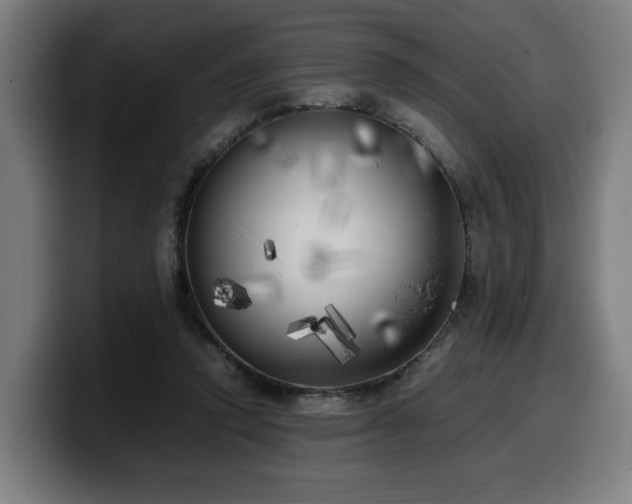 X0000099930354200805301202