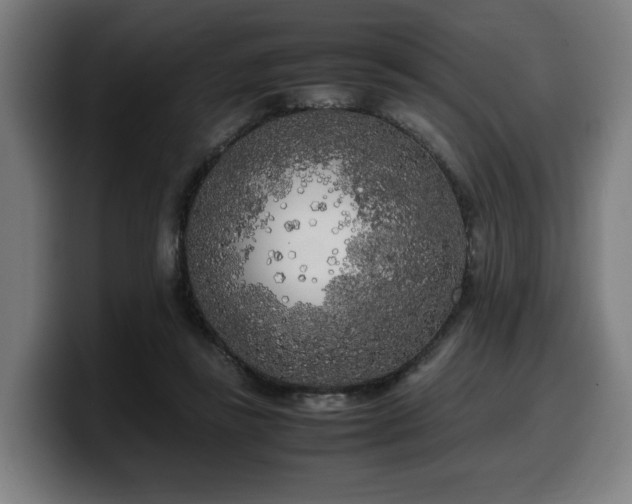 X0000099930355200805301202