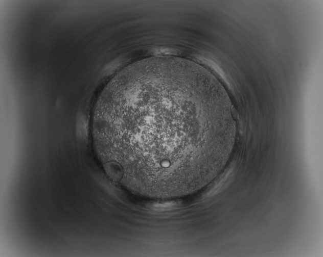 X0000099930357200805301202