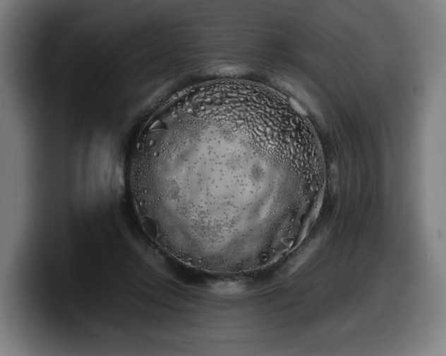 X0000099930358200805301202