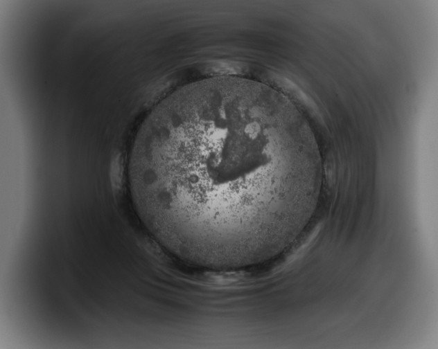 X0000099930359200805301202