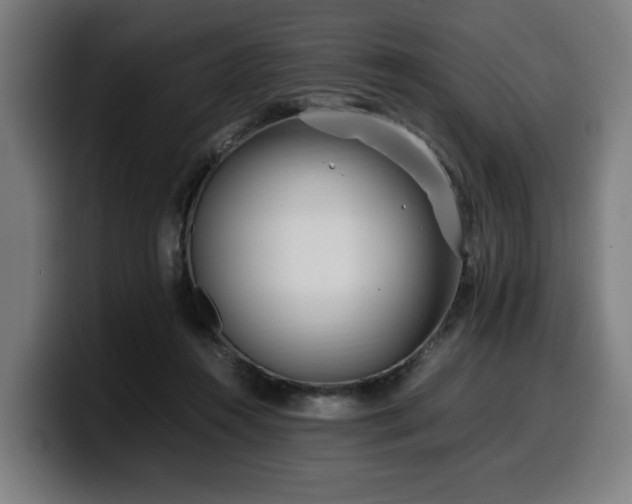 X0000099930360200805301202