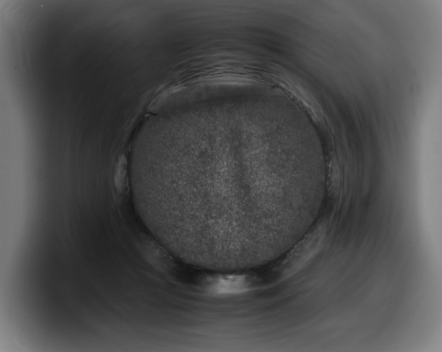 X0000099930361200805301202