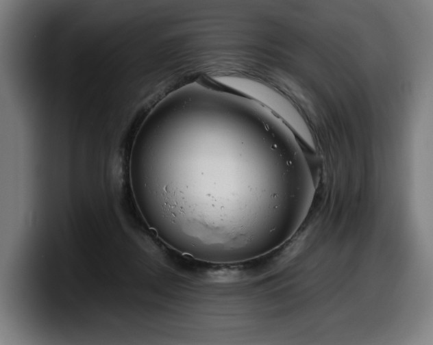 X0000099930362200805301202