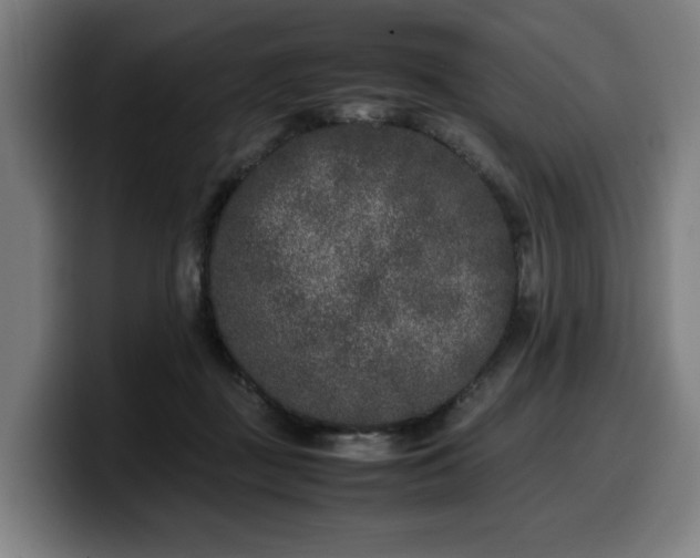 X0000099930363200805301202