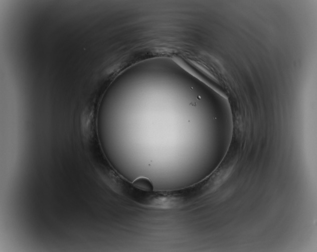 X0000099930364200805301202