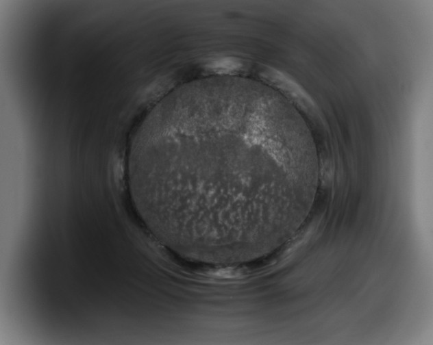 X0000099930365200805301202