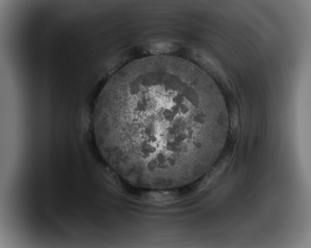 X0000099930367200805301202