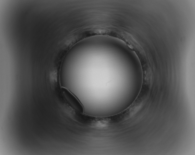 X0000099930368200805301202