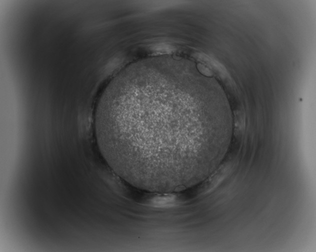 X0000099930369200805301202