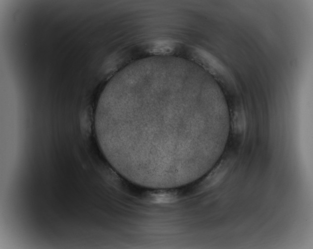 X0000099930370200805301202