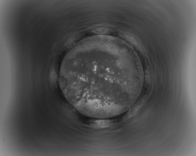 X0000099930371200805301202