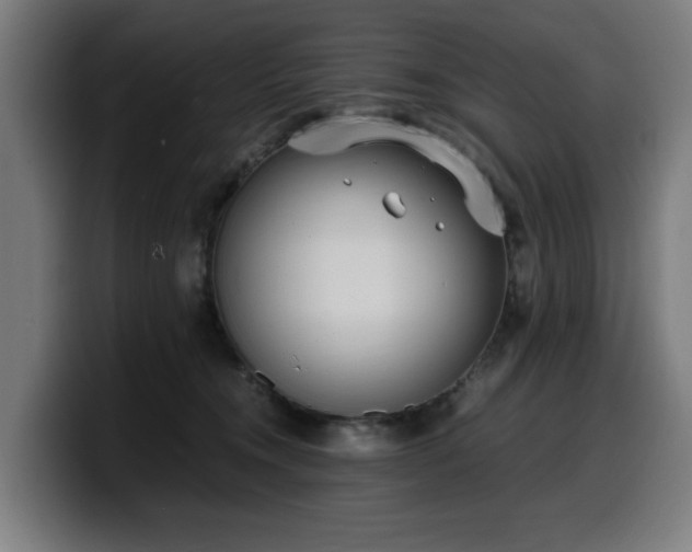 X0000099930372200805301202