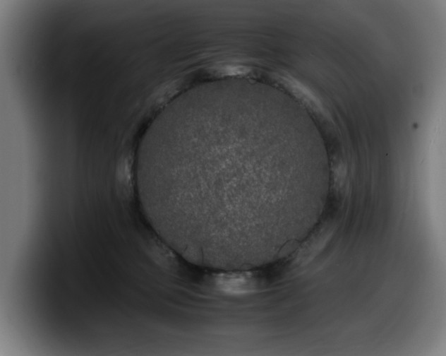 X0000099930373200805301202