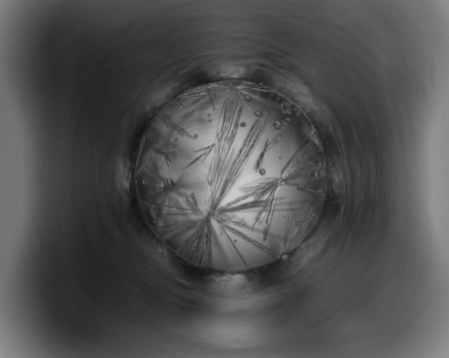 X0000099930374200805301203