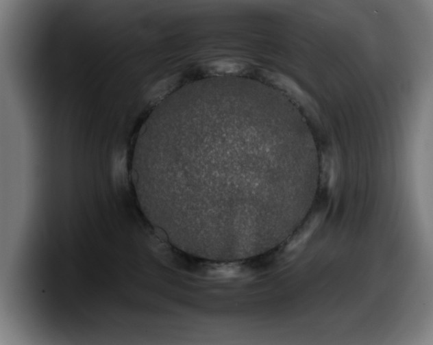 X0000099930377200805301203