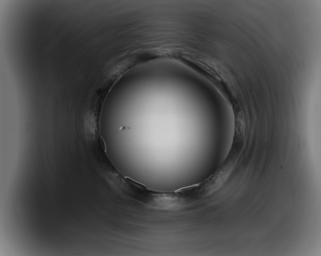 X0000099930380200805301203