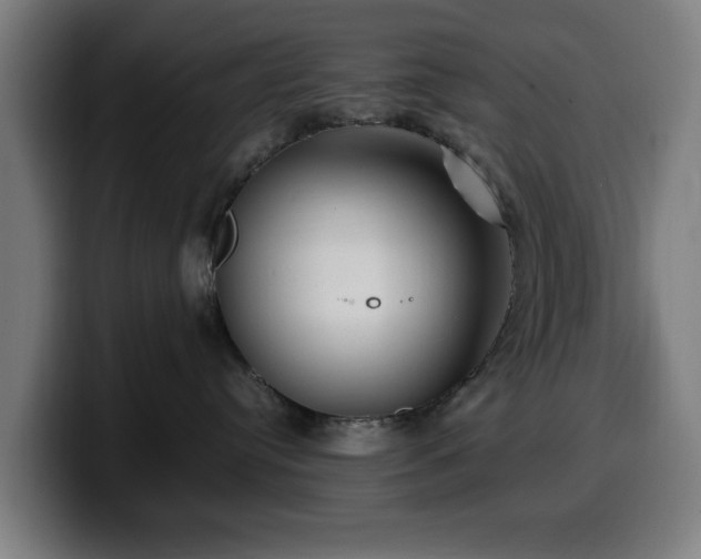 X0000099930384200805301203