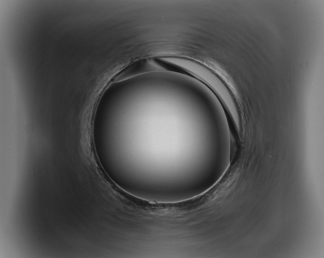 X0000099930385200805301202