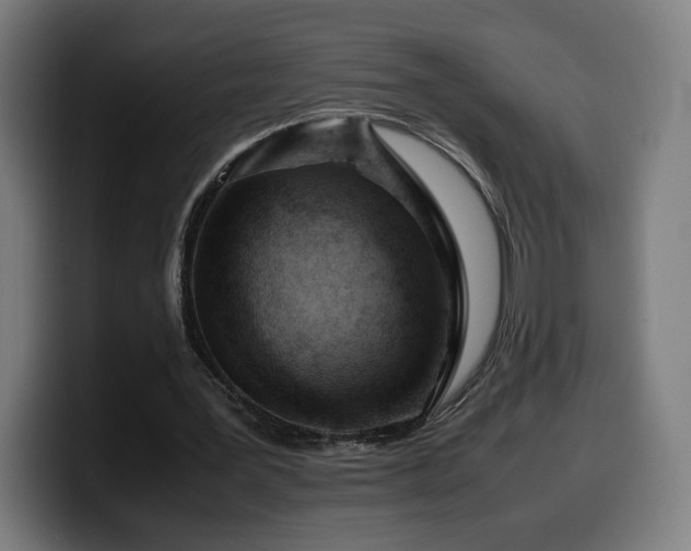 X0000099930387200805301202