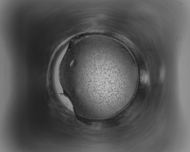 X0000099930388200805301202