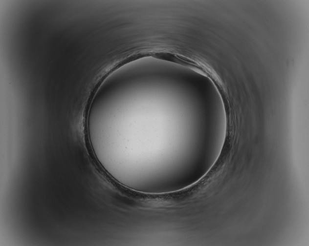 X0000099930389200805301202