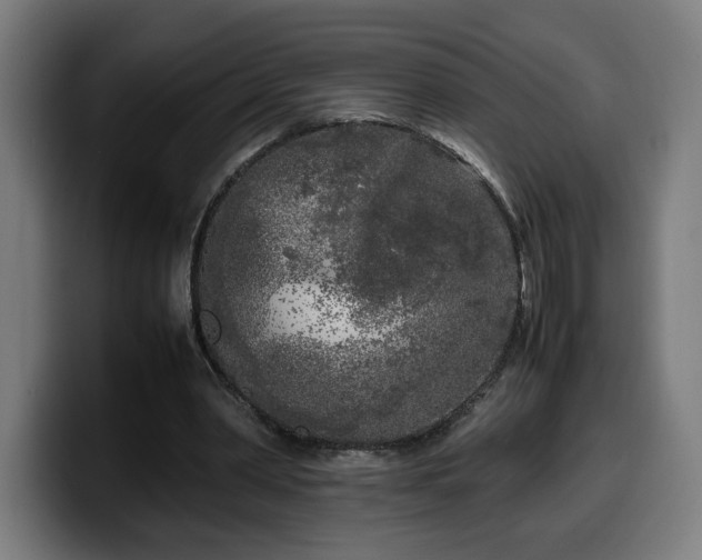 X0000099930390200805301202