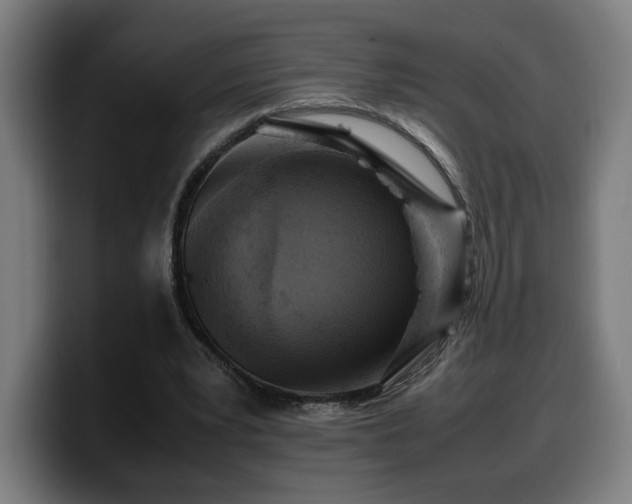 X0000099930391200805301202