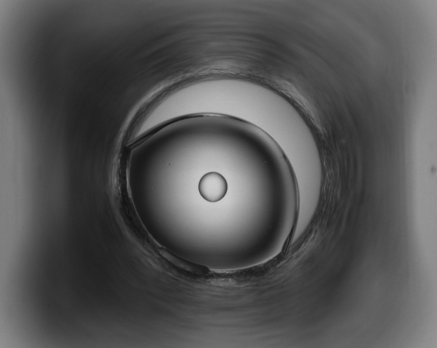 X0000099930392200805301202