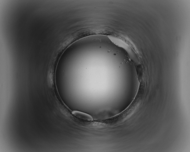 X0000099930393200805301202