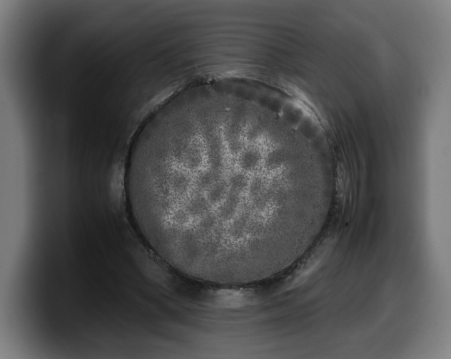 X0000099930394200805301202