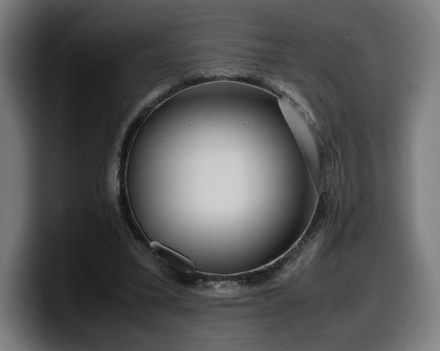 X0000099930395200805301202