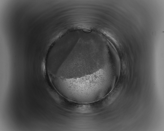 X0000099930398200805301202