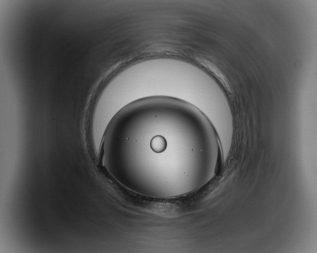 X0000099930399200805301202