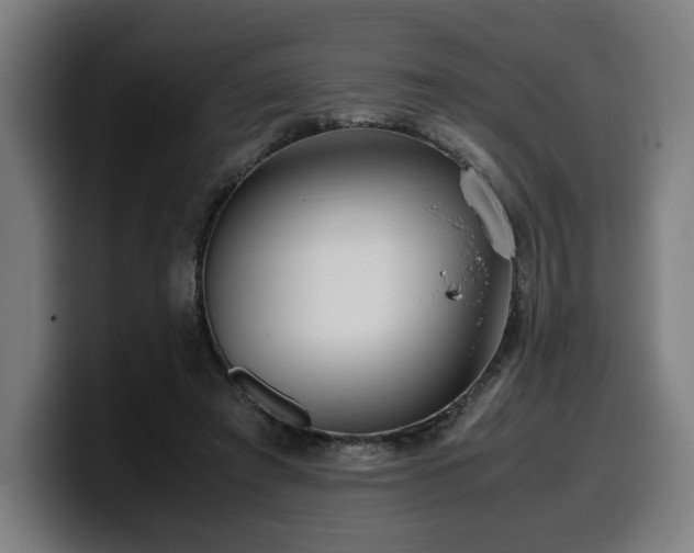 X0000099930401200805301202