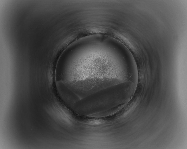 X0000099930402200805301202