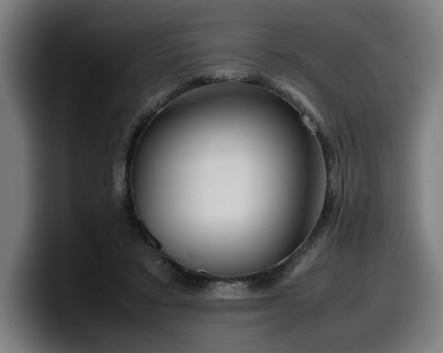 X0000099930403200805301202