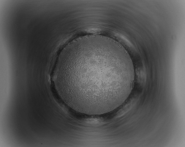 X0000099930404200805301202