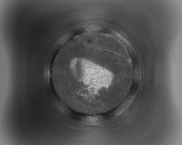 X0000099930405200805301202