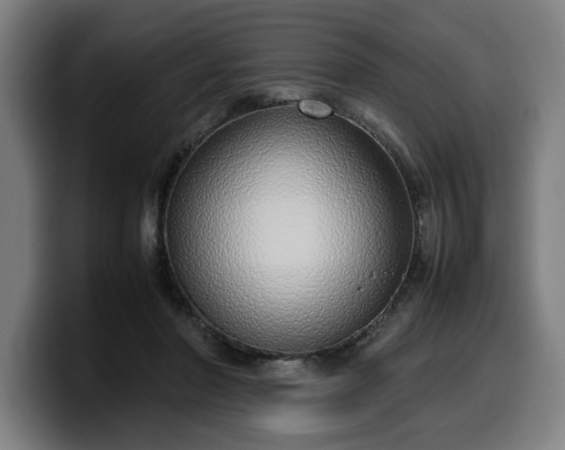 X0000099930406200805301202