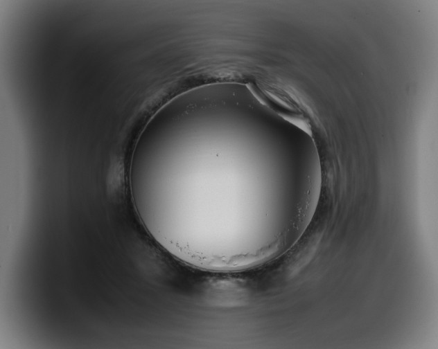 X0000099930407200805301202