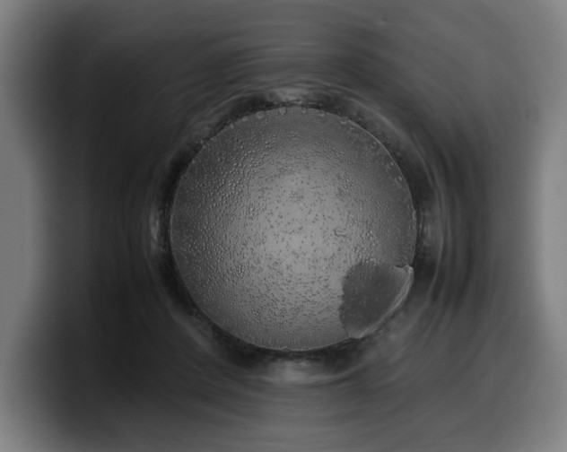 X0000099930408200805301202