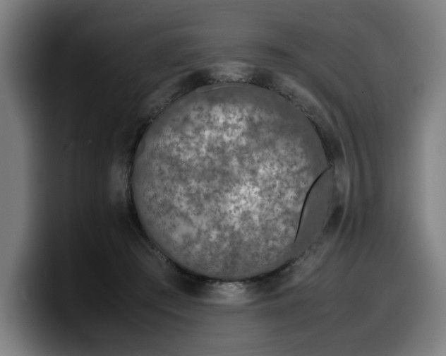 X0000099930409200805301202