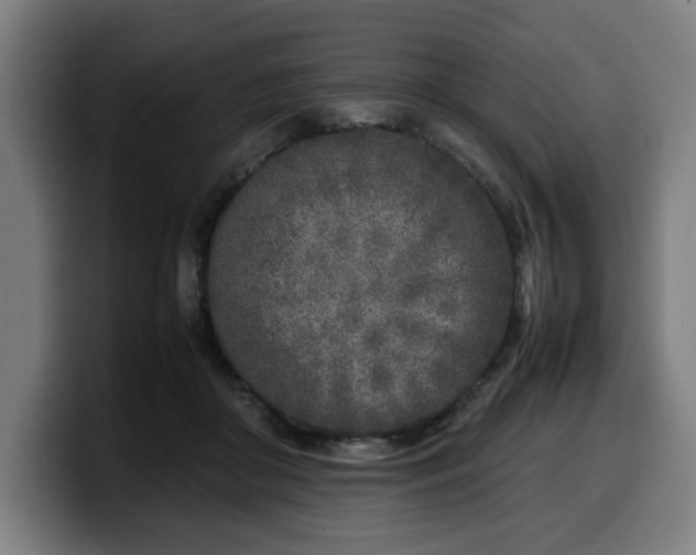 X0000099930410200805301202