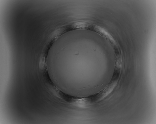 X0000099930411200805301202