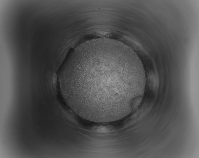 X0000099930412200805301202